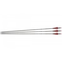 NXG Carbon Pfeile 30" Spine 350 3 Stück...