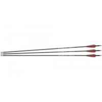 NXG Carbon Pfeile 30" Spine 400 3 Stück...