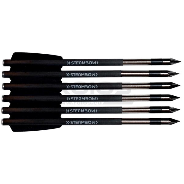 STEAMBOW Stinger AR-Series Carbon-Bodkinpfeile (6 Stück)