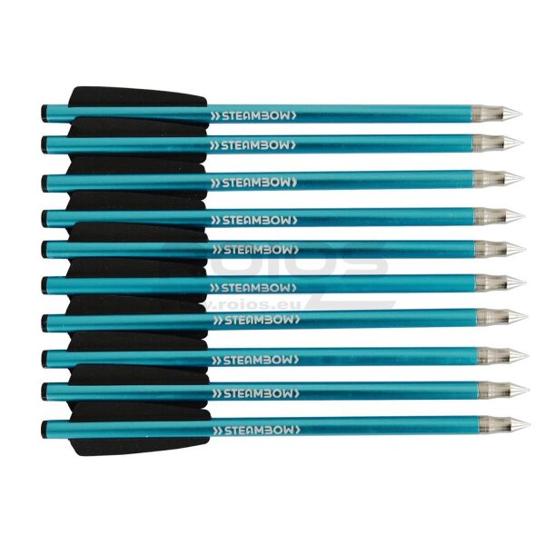 STEAMBOW Stinger Übungspfeile (10 Stück)