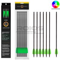 WHIPSHOT Carbonpfeil 15" - EK